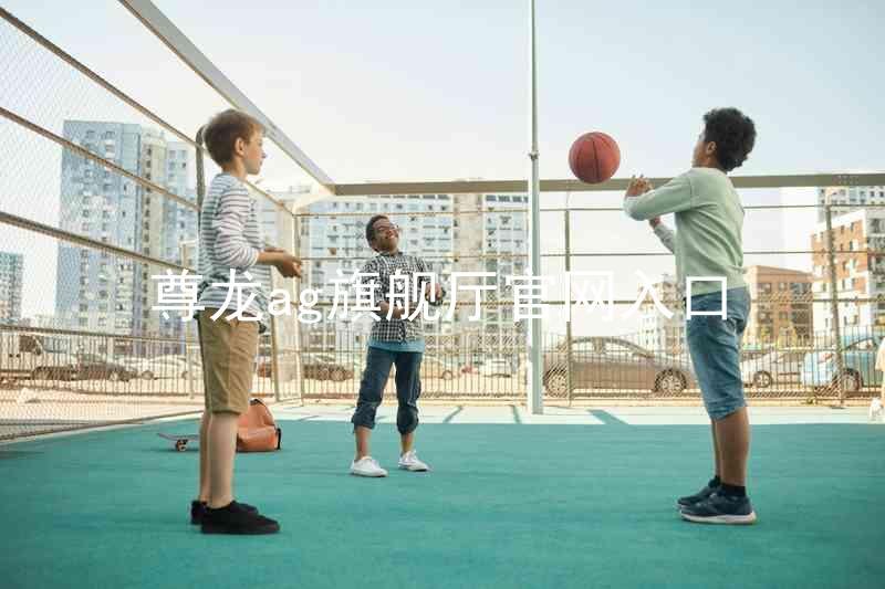 尊龙ag旗舰厅官网入口
