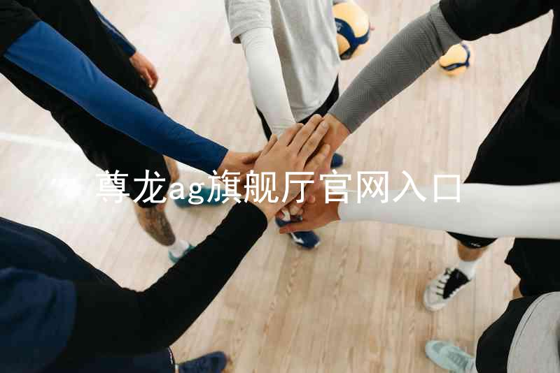 尊龙ag旗舰厅官网入口