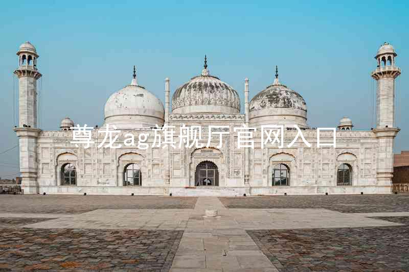 尊龙ag旗舰厅官网入口