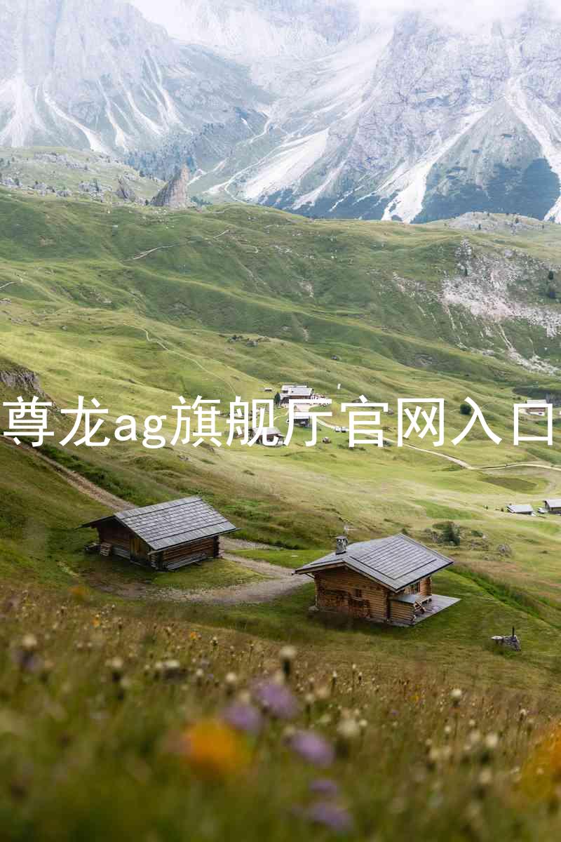 尊龙ag旗舰厅官网入口