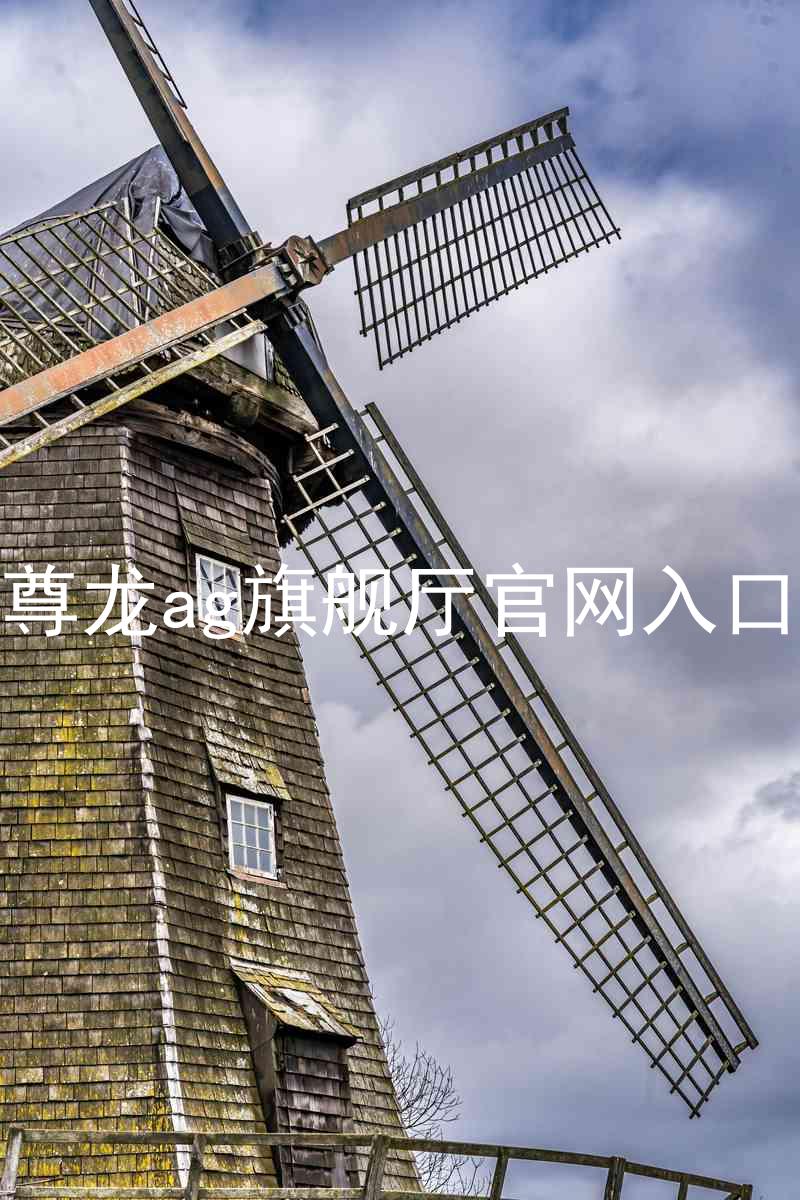 尊龙ag旗舰厅官网入口